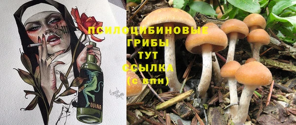 не бодяженный Тихвин
