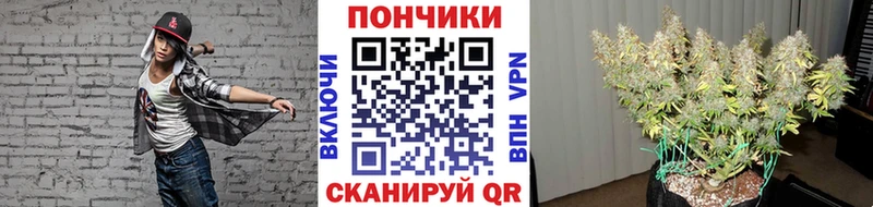 Бошки Шишки конопля Борисоглебск